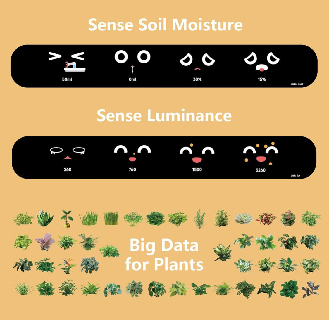 وعاء زهور ونباتات ذكي