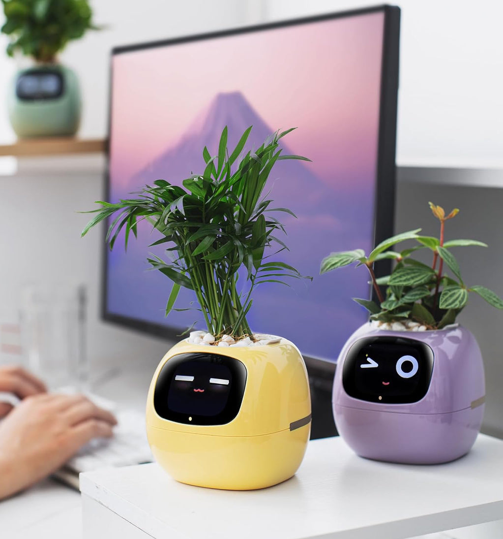 وعاء زهور ونباتات ذكي