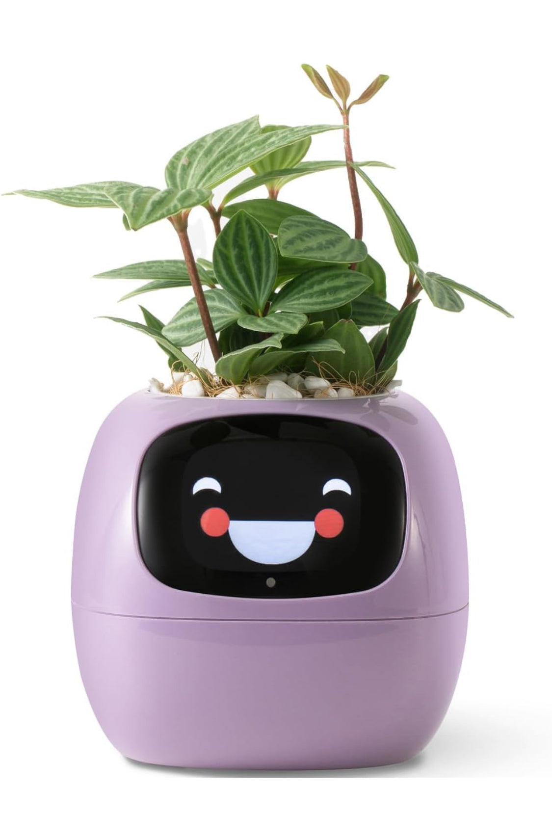 وعاء زهور ونباتات ذكي