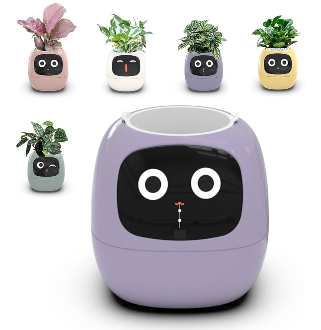 وعاء زهور ونباتات ذكي