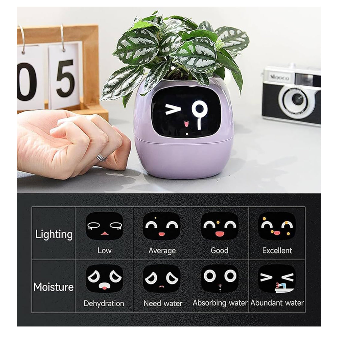 وعاء زهور ونباتات ذكي