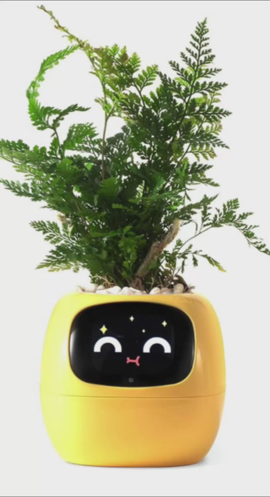 وعاء زهور ونباتات ذكي